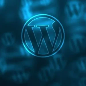 WordPress Theme Customization – Basic to Advanced